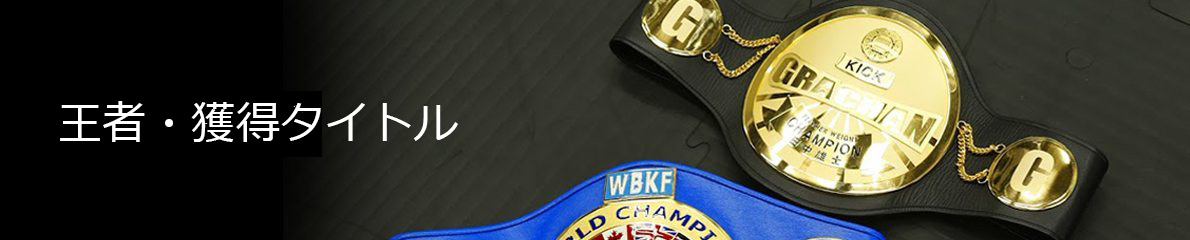 王者・獲得タイトル